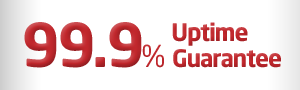 99% Uptime Guarantee